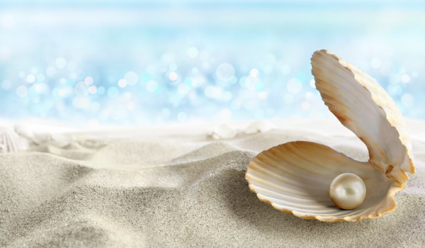 Demo – Vietnam’s First Underwater Pearl Market | Hoang Gia Pearl Vega City Nha Trang