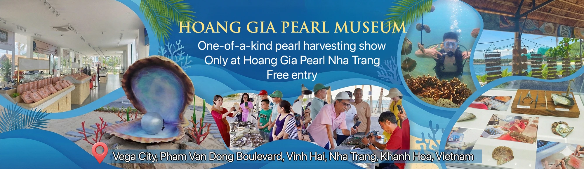 Ngọc Trai Hoàng Gia