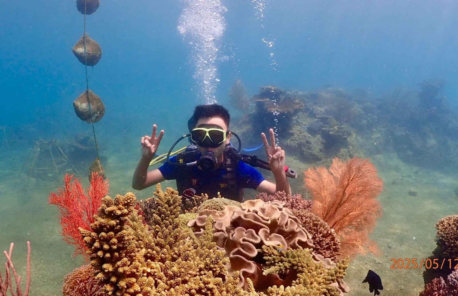 Dive into the Pearl Discovery Journey at Hoang Gia Pearl Museum